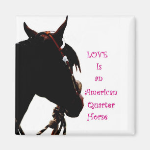 Liefde is een Quarter Horse magneet