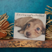 Liefde is eigendom van een Dachshund Fotoplaat (Zijkant)