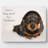 Liefde is eigendom van een Dachshund Fotoplaat (Voorkant)