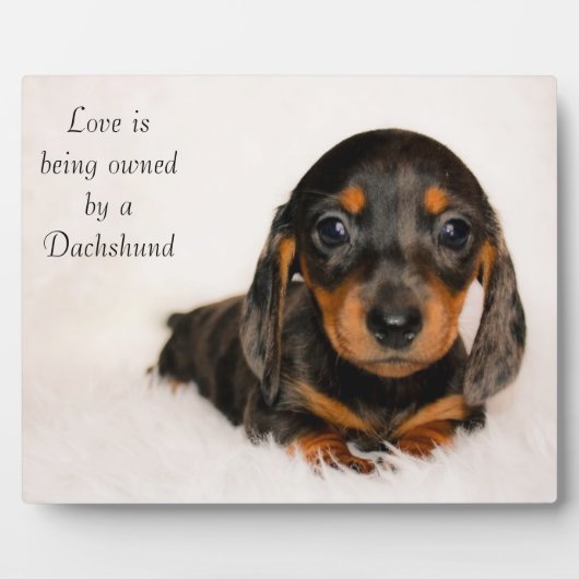 Liefde is eigendom van een Dachshund Fotoplaat (Voorkant)
