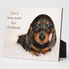 Liefde is eigendom van een Dachshund Fotoplaat
