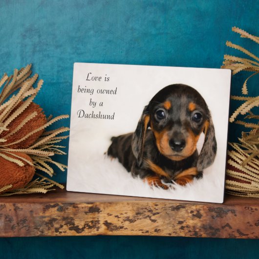 Liefde is eigendom van een Dachshund Fotoplaat (Zijkant)