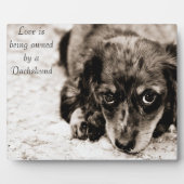 Liefde is eigendom van een Dachshund Fotoplaat (Voorkant)