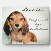 Liefde is eigendom van een Dachshund-Pixel Fotoplaat (Voorkant)