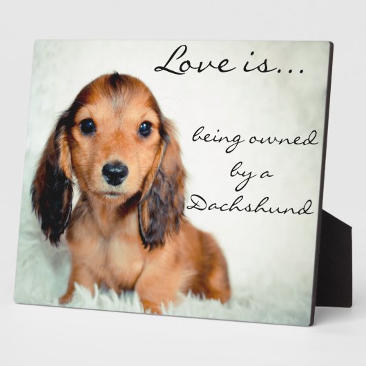 Liefde is eigendom van een Dachshund-Pixel Fotoplaat (Zijkant)