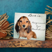 Liefde is eigendom van een Dachshund-Pixel Fotoplaat (Zijkant)