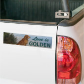 Liefde is Golden Bumpersticker (Op Truck)