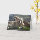 Liefde is goud kaart (Gele Bloem)