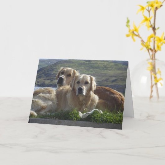 Liefde is goud kaart (Gele Bloem)