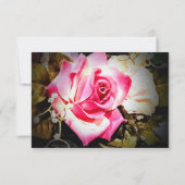 Liefde is in Bloom Foto/Roos Bruiloft RSVP Kaartje (Achterkant)