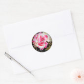 Liefde is in Bloom Roos Bruiloft Sticker (Envelop)