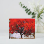Liefde is in de Lucht Rode Herfst Boom Briefkaart (Staand voorkant)
