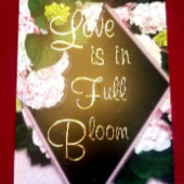 Liefde is in volle bloei bruiloft folie uitnodiging