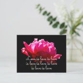Liefde is liefde dramatisch Romantisch Roze Rose Briefkaart (Staand voorkant)