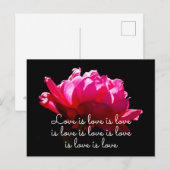 Liefde is liefde dramatisch Romantisch Roze Rose Briefkaart (Voorkant / Achterkant)