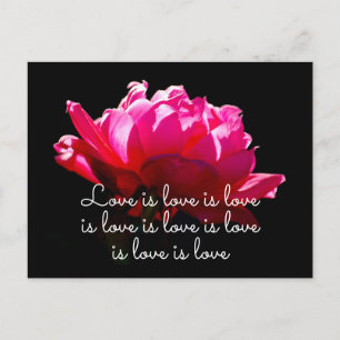 Liefde is liefde dramatisch Romantisch Roze Rose Briefkaart