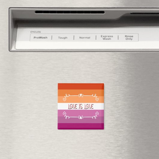 Liefde is Liefde Pride Maand Magnet (Insitu (Vaatwasser))