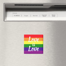 Liefde is Liefde Regenboog LGBTQ trots Magneet