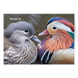 Liefde is... Mandarijnen