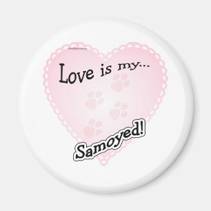 Liefde is mijn Samoyed - Magnet