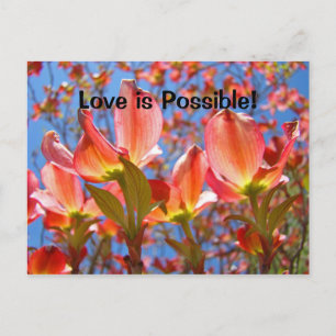 Liefde is mogelijk! ansichtkaarten Roze Dogwood Bl Briefkaart