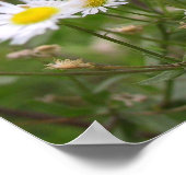 Liefde is mooi poster (Hoek)