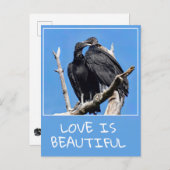 Liefde is mooie gieren briefkaart (Voorkant / Achterkant)