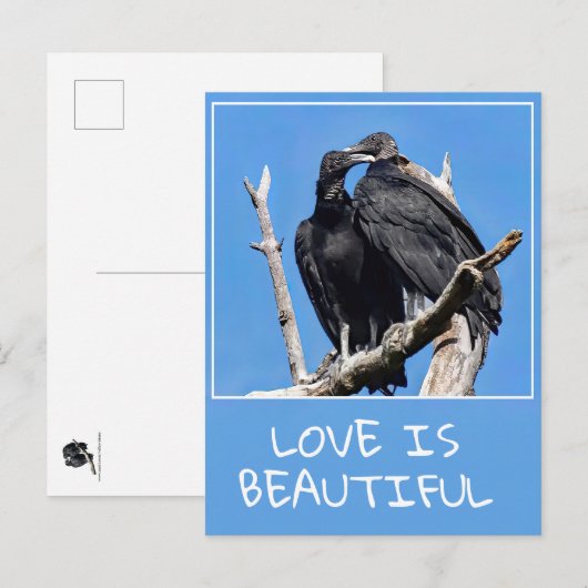 Liefde is mooie gieren briefkaart (Voorkant / Achterkant)