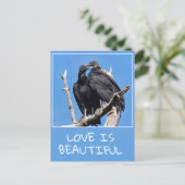 Liefde is mooie gieren briefkaart (Staand voorkant)