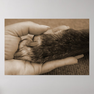 Liefde is onvoorwaardelijk poster