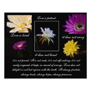 Liefde is Patiënt, Liefde is een soort Cactus flow Foto Afdruk