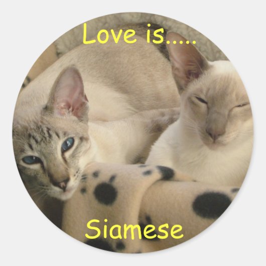 Liefde is...., Siamees Ronde Sticker (Voorkant)
