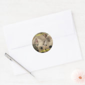 Liefde is...., Siamees Ronde Sticker (Envelop)