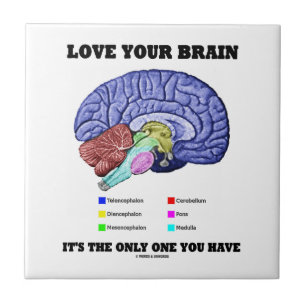 Liefde je brein is de enige die je hebt (hersenen) tegeltje