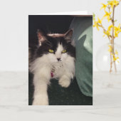 Liefde Kaart (Gele Bloem)