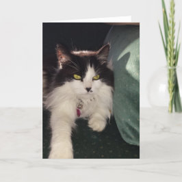 Liefde Kaart