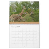 Liefde kalender van Giraffe 2014 (Feb 2027)