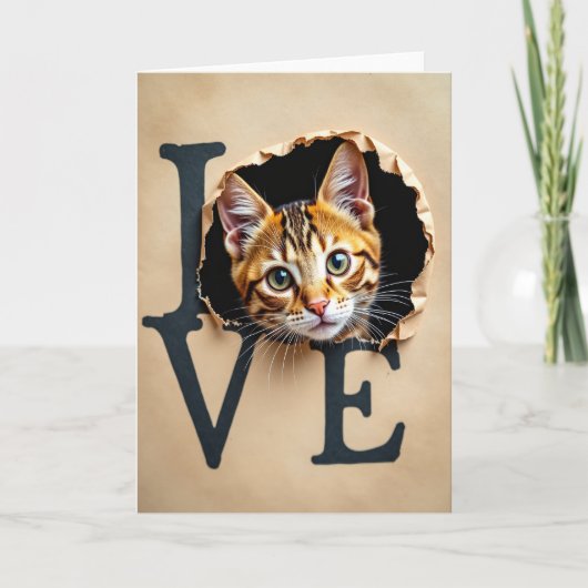 Liefde Kat Kijkkaart Kaart (Voorkant)