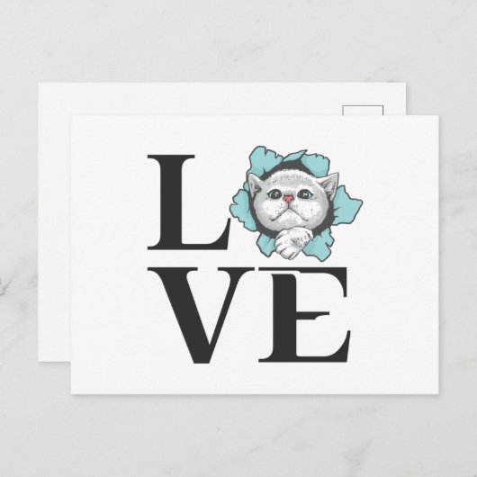 Liefde katten briefkaart (Voorkant / Achterkant)