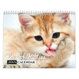 Liefde Katten Photo Wall Calendar Kalender