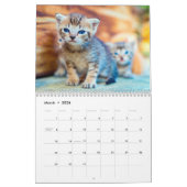 Liefde Katten Photo Wall Calendar Kalender (Mar 2026)