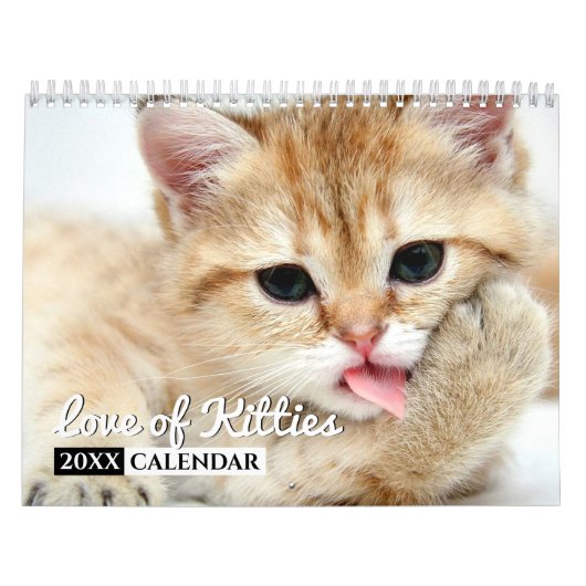 Liefde Katten Photo Wall Calendar Kalender (Hoes)