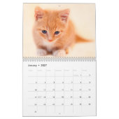 Liefde Katten Photo Wall Calendar Kalender (Jan 2027)