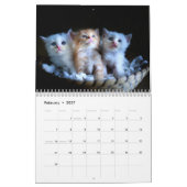 Liefde Katten Photo Wall Calendar Kalender (Feb 2027)