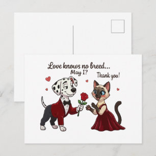 Liefde Kent Geen Ras Dalmatiër en Siamese Kat Briefkaart