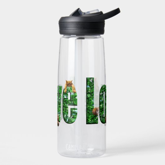 Liefde = Kittens, Waterfles (Links)