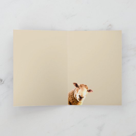 Liefde Knuffels Kusjes Gebeden Zegeningen Bedankkaart (Binnen)