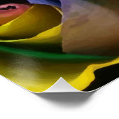 Liefde komt in veel kleuren uit het Poster van reg (Hoek)