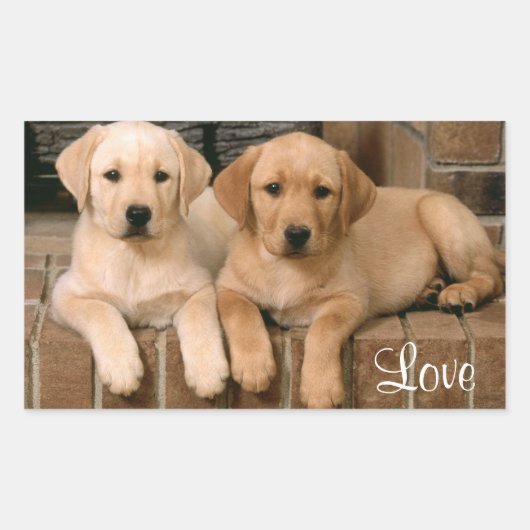 Liefde Labrador Retriever Puppies Sticker (Voorkant)