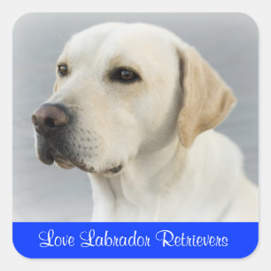 Liefde Labrador Retriever Puppy Honden Stickers